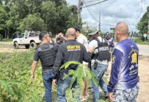 Chinese Shooter Caught with Large Drug Haul After Shooting Compatriot chinese