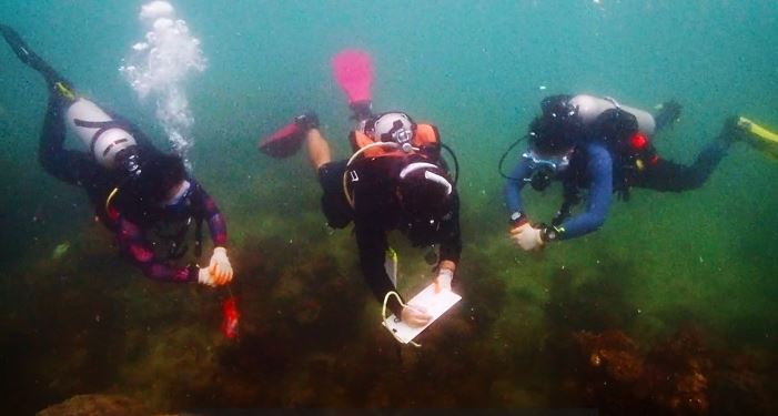 conserve coral4