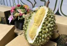 9 Labs Keep Thai Durian Exports Flowing, China Open 24-Hour Customs durian