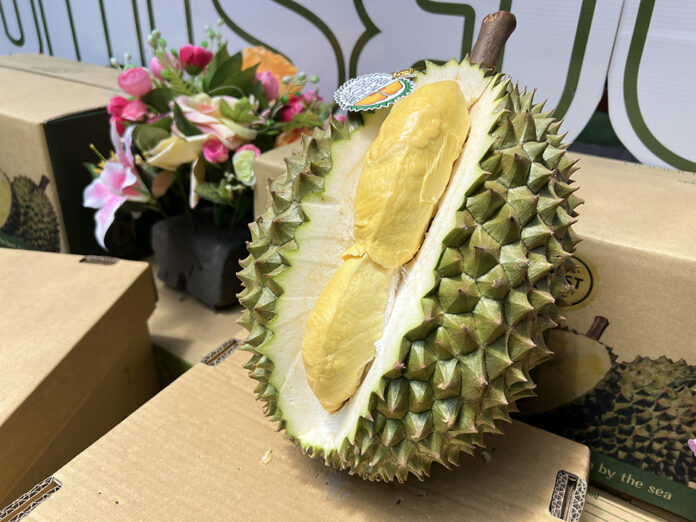 durian-2025 durian