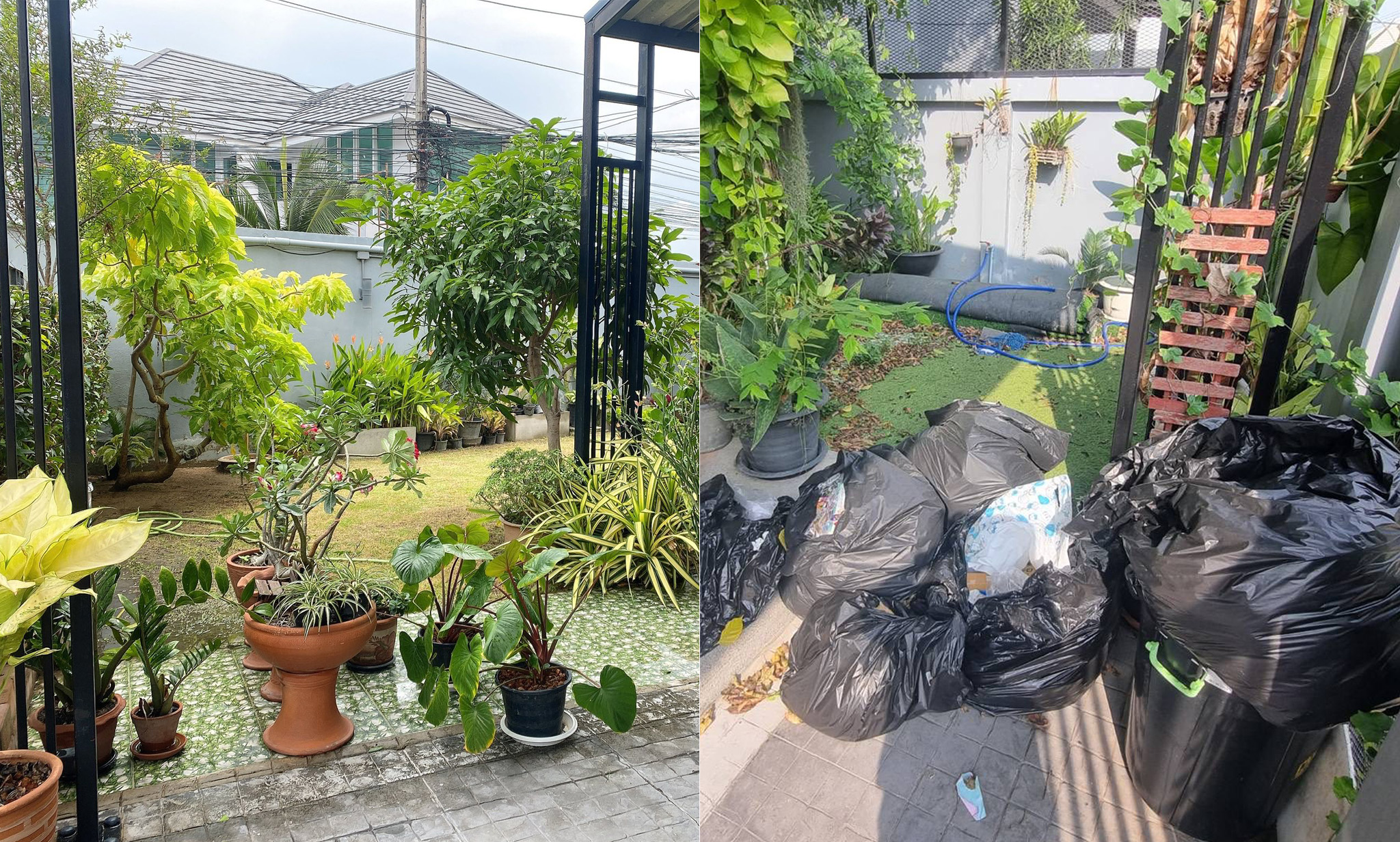 pattaya trash2