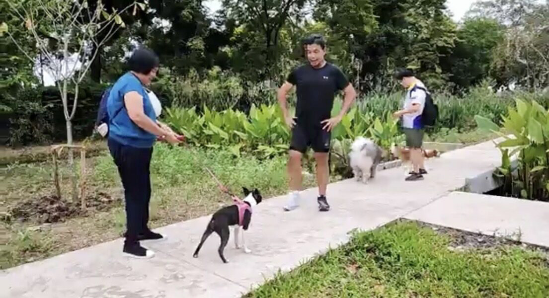 pet new rules
