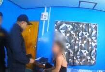 Russian Escort Arrested in Koh Phangan Sting Operation