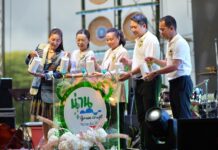 Nan Green Craft Festival “The Enchanting Rainy Season Crafts of Nan”