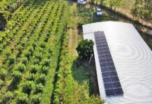 Father’s Legacy: Contract Farming for Sustainable Livelihoods