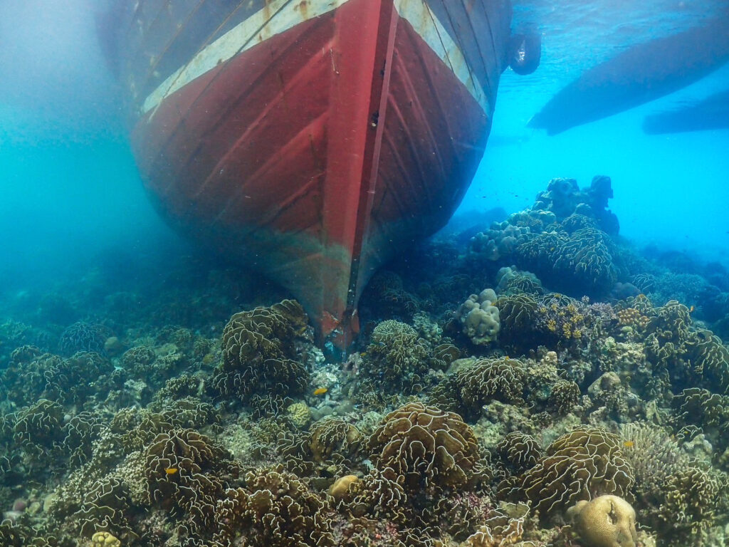 Myanmar Cargo Ship Damages Thai Coral Reef, Faces $366K Bill