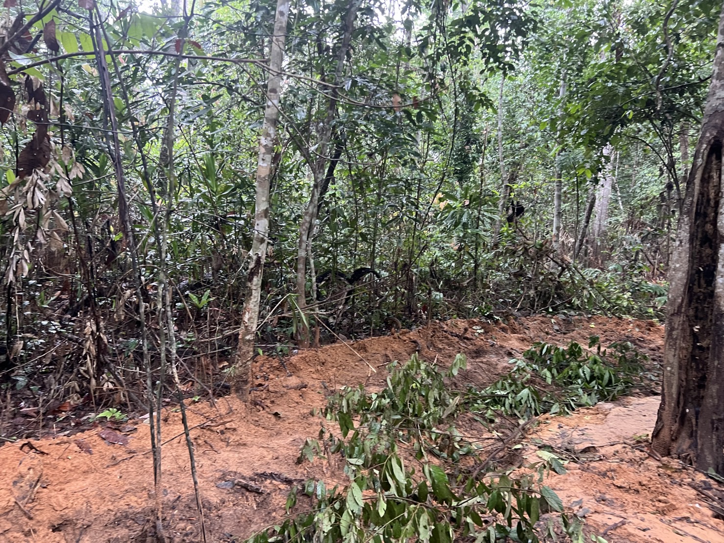 trench cambodia