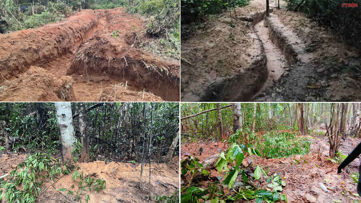 trench cambodia1