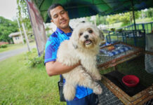Thailand Sets Up Safe Spaces for Pets Whose Owners Fled Border Violence