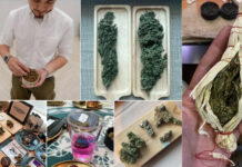 New Career Path: ‘Budtender’ The Experienced Cannabis Seller
