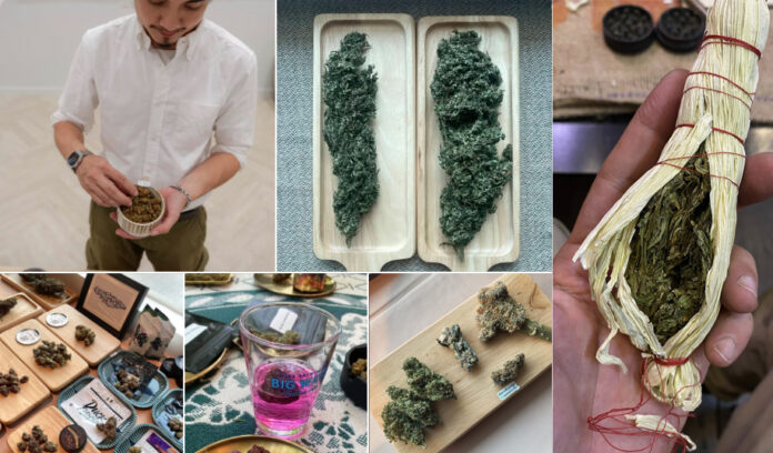 budtender2