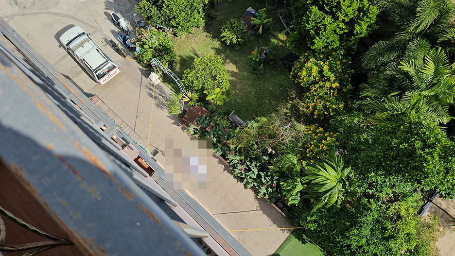 chinese fall pattaya4