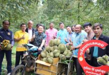 “Krabi OK” – A Charming City with Warm-Hearted People