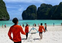 Maya Bay Records 158 Blacktip Sharks in Single Day Survey