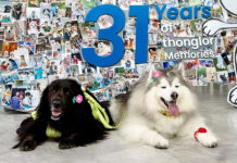 Thonglor Pet Hospital Eyes 100% Growth Through Tech Push