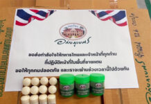 Thailand Sends Masks, Inhalers to Border Troops Overwhelmed by Corpse Odors