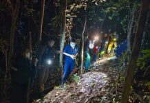 Tourist Found Dead in Chiang Mai’s Doi Suthep Forest