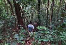 Hiker Found Dead in Chiang Mai’s Doi Suthep After Family Breakdown