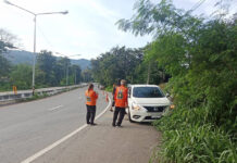French Diabetic Dies After Car Veers Off Road in Lampang
