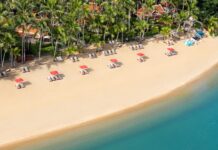 S Hotels and Resorts Posts Record Q2 Net Profit, Announces First-Ever Interim Dividend