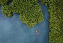 A Luxurious Andaman Island Escape Where Sustainability Meets Timeless Elegance