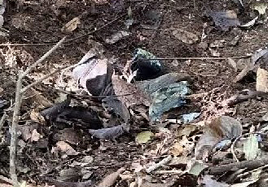 landmine1