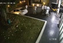 Expensive Crab Delivery Mix-Up Sparks Violent Brawl in Pattaya