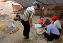 Sixth Dinosaur Fossil Unearthed in Khon Kaen Boosts Thailand’s UNESCO Geopark Bid dinosaur
