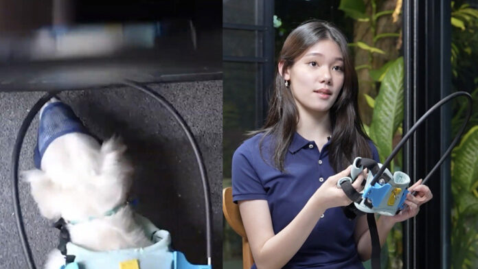 thai student pets1