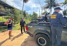 German Employer, Myanmar Guide Caught in Illegal Tourism on Koh Phangan