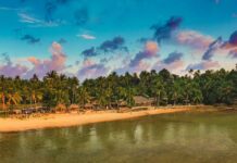Why Thailand Is the Ultimate Destination to Start Your Yoga Career