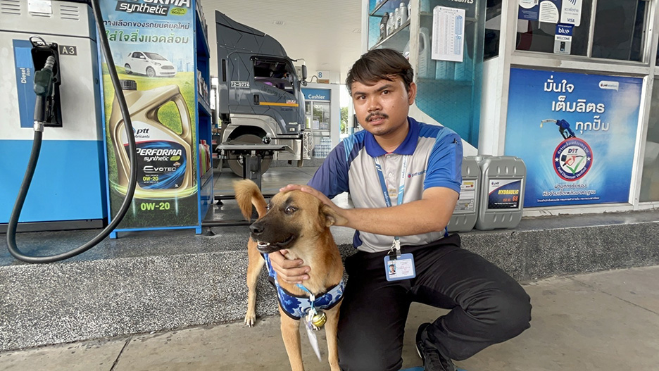 namtan the dog3
