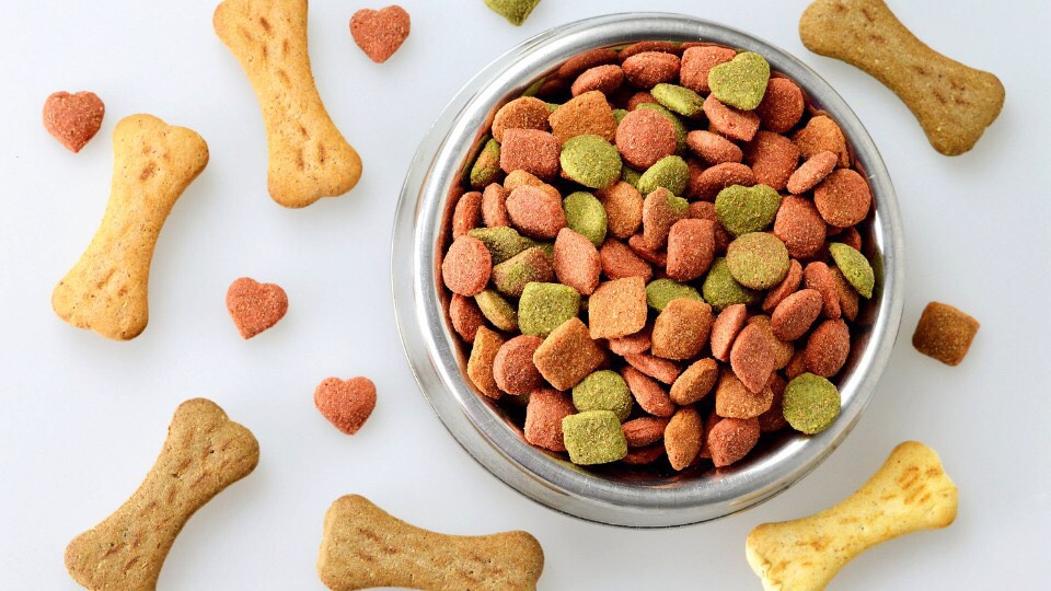 pet food 12
