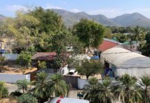 Israel, Thai Police Tackle Chabad Center Disputes and Tourist Misconduct