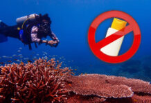 Tourists Face $3,070 Penalty for Banned Sunscreens in Thai Marine Parks