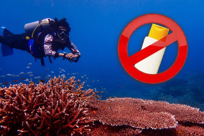 no sunscreen1