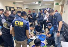 Taiwanese Trio Caught with 52 Drugged Animals at Don Mueang Airport