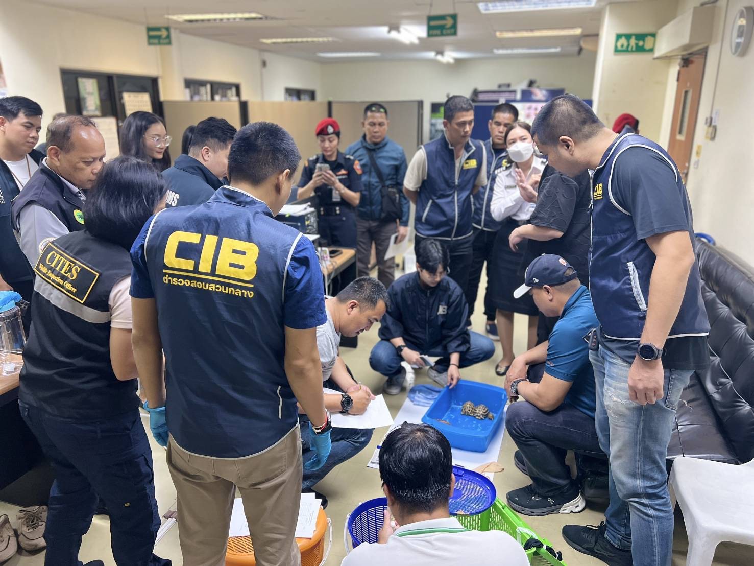 Taiwanese Trio Caught with 52 Drugged Animals at Don Mueang Airport