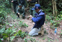 Thailand Demands Apology From Cambodia for Land Mine Explosion That Injured Soldiers