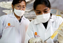 Study Finds Potentially Unsafe Arsenic Levels in Shark Pet Treats