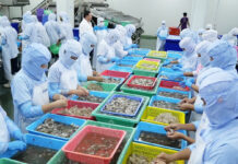 Thailand Freezes Cambodian Worker Renewals After Landmine Incident