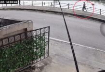 French Man Jumps into Chao Phraya River to Save Thai Woman