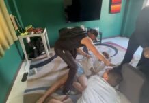 Phangan Arrests French-Russian Duo with Drugs, Overstayed Ukrainian