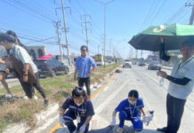 British Woman, 75, Killed in Thailand Car Accident; Husband Grieves