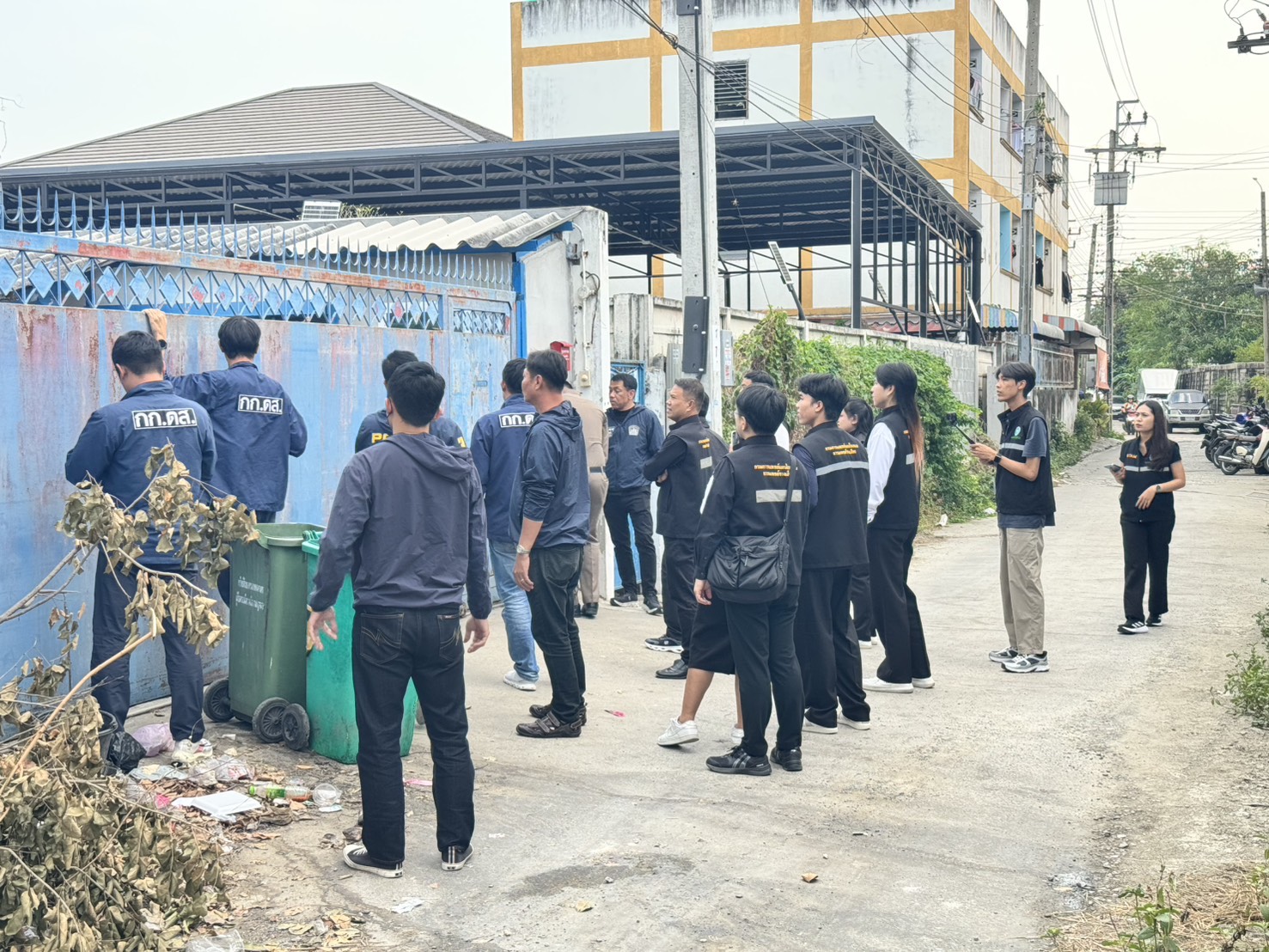 cannabis viet2