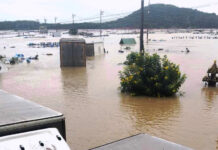 Southern Thailand Floods Devastate 10,000 Shrimp Farmers, $31M in Damages Shrimp