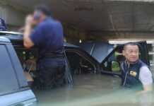 GPS Gone Wrong: Electric Van Submerged, 5 Rescued