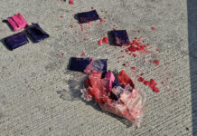 Dog chews package and exposes meth stash in Chonburi Dog chews package and exposes meth stash in Chonburi