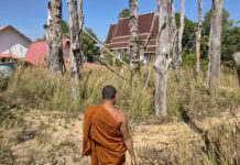 Mystery spring emerges at Thai temple site in dry season Mystery spring emerges at Thai temple site in dry season