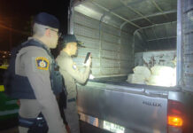 Pickup smashes checkpoint, dumps 15 sacks of crystal meth Pickup smashes checkpoint, dumps 15 sacks of crystal meth